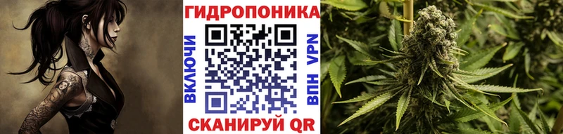 Марихуана планчик  закладки  Боготол 